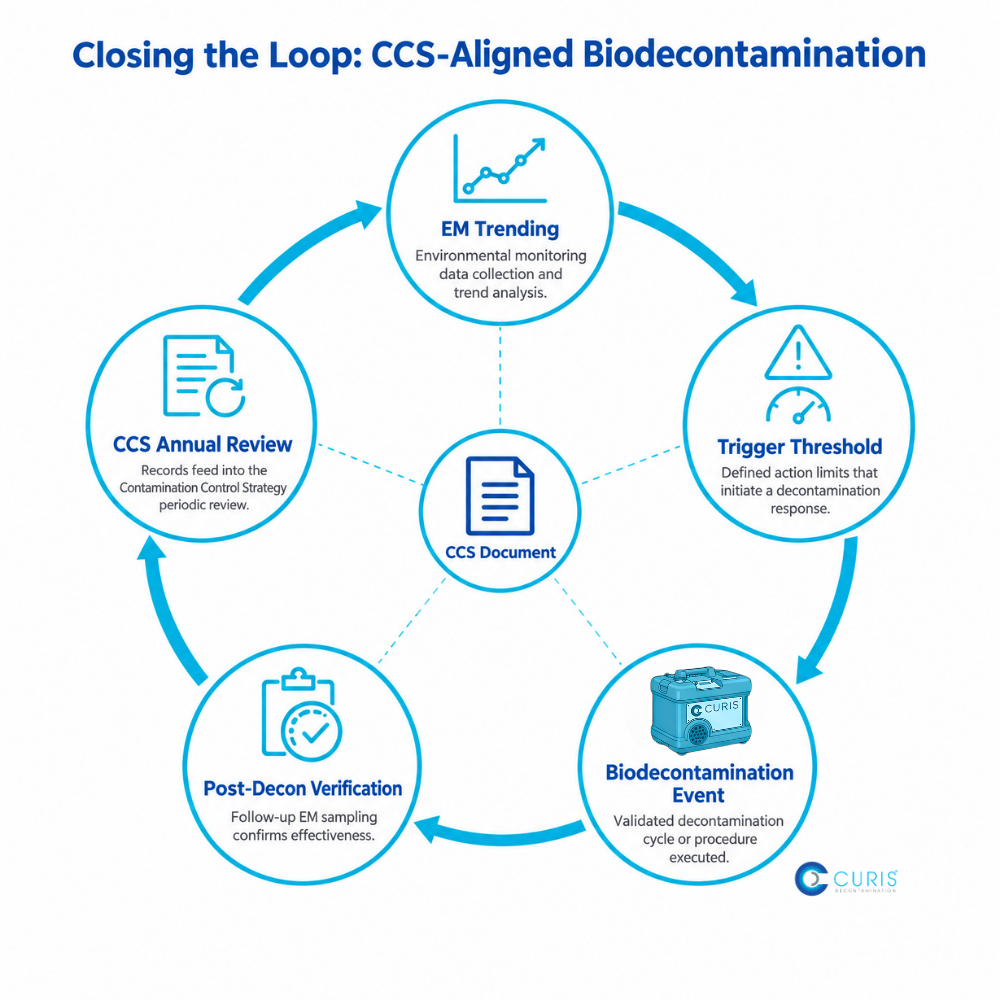 Diagram showing process of biodecontamination and contamination control strategy (CCS).