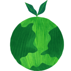 CURIS solution is eco-friendly.