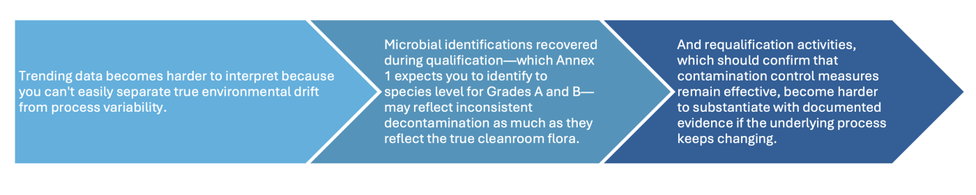 Trending data becomes harder to interpret because you can't easily separate true environmental drift from process variability. Microbial identifications recovered during qualification&mdash;which Annex 1 expects you to identify to species level for Grades A and B&mdash;may reflect inconsistent decontamination as much as they reflect the true cleanroom flora. And requalification activities, which should confirm that contamination control measures remain effective, become harder to substantiate with documented evidence if the underlying process keeps changing.
