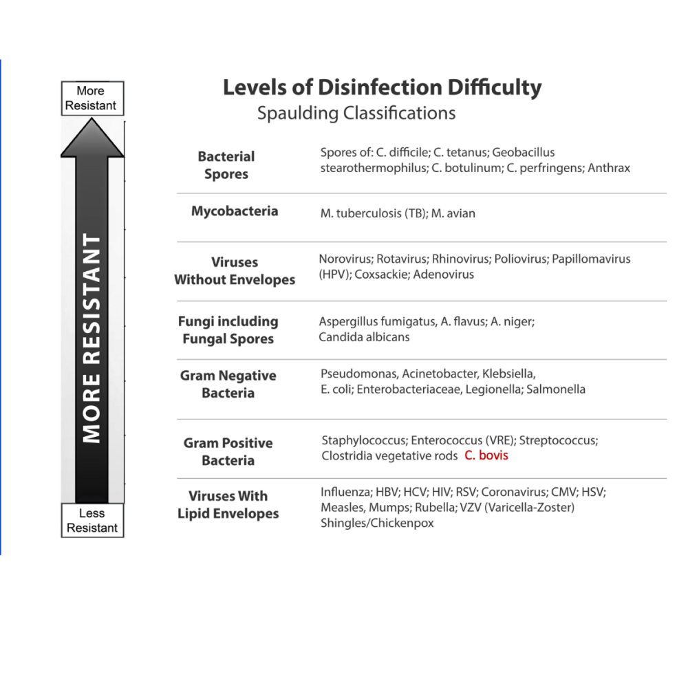 Spaulding Chart for levels of disinfection difficulty