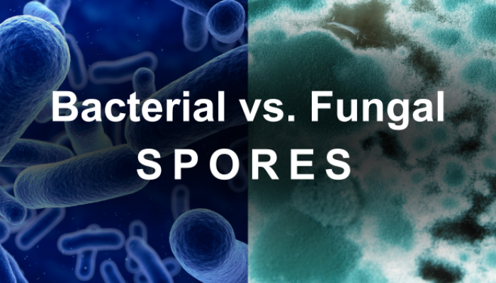 bacterial or fungal spores in contamination control